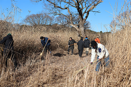 防火帯づくりの様子